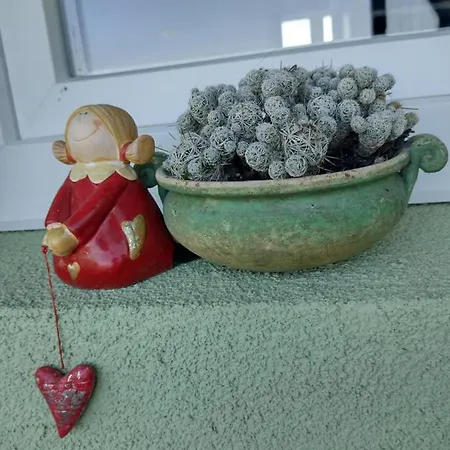 Kilátó Apartman *